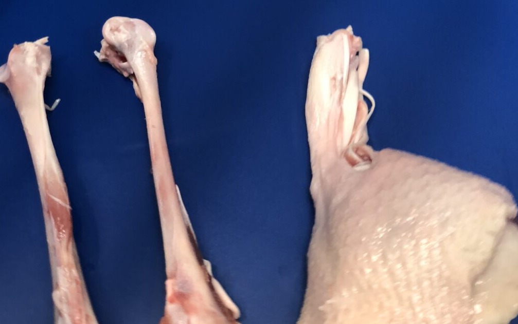 Kemik Ayırma (Deboner)
