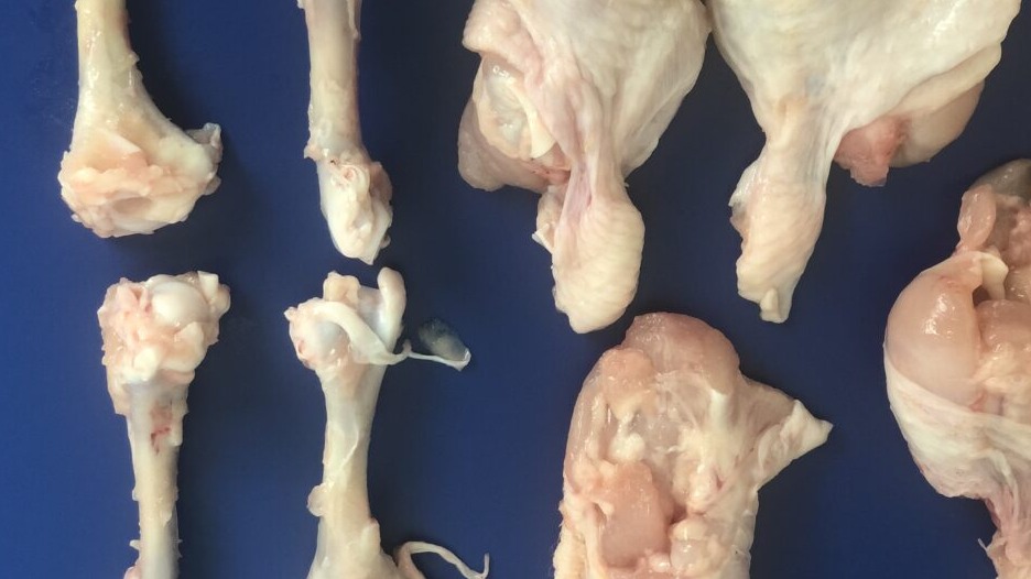 Kemik Ayırma (Deboner)