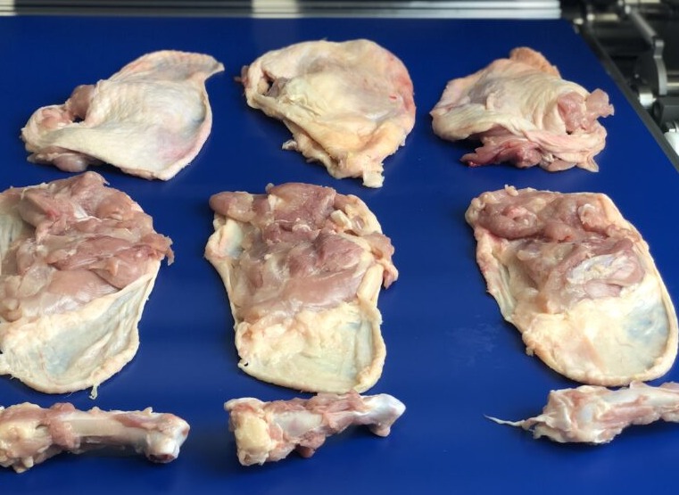 Deboner ve Kıkırdak Çıkarıcı