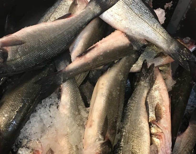 Yarı Otomatik Kabuk çıkarıcı 